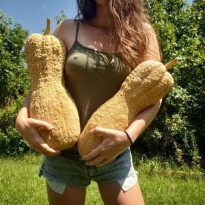 Girloffgrid avatar