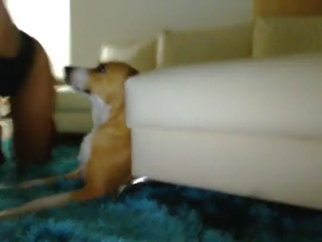 kimtylor video #62993