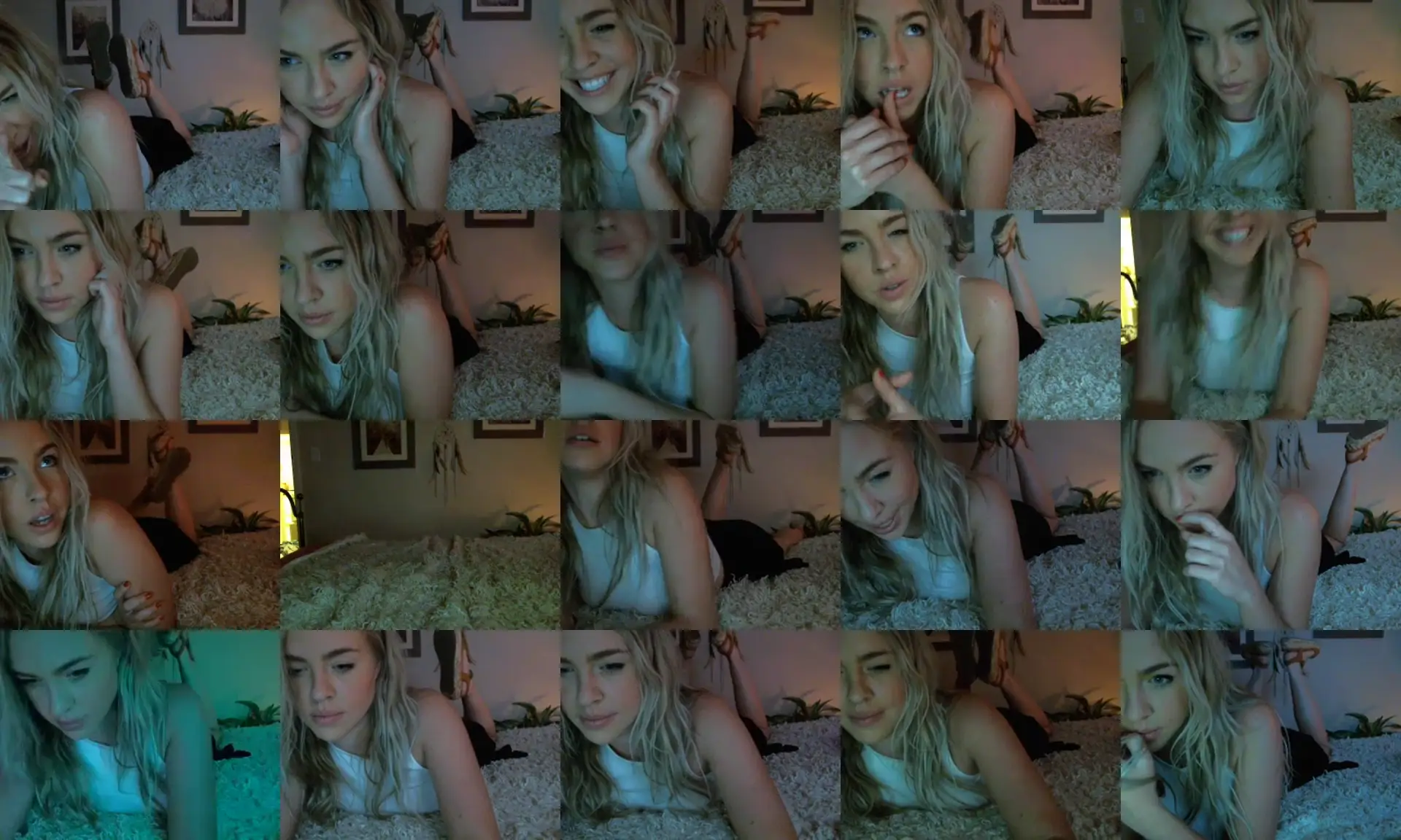 Indigowild photo contact sheet