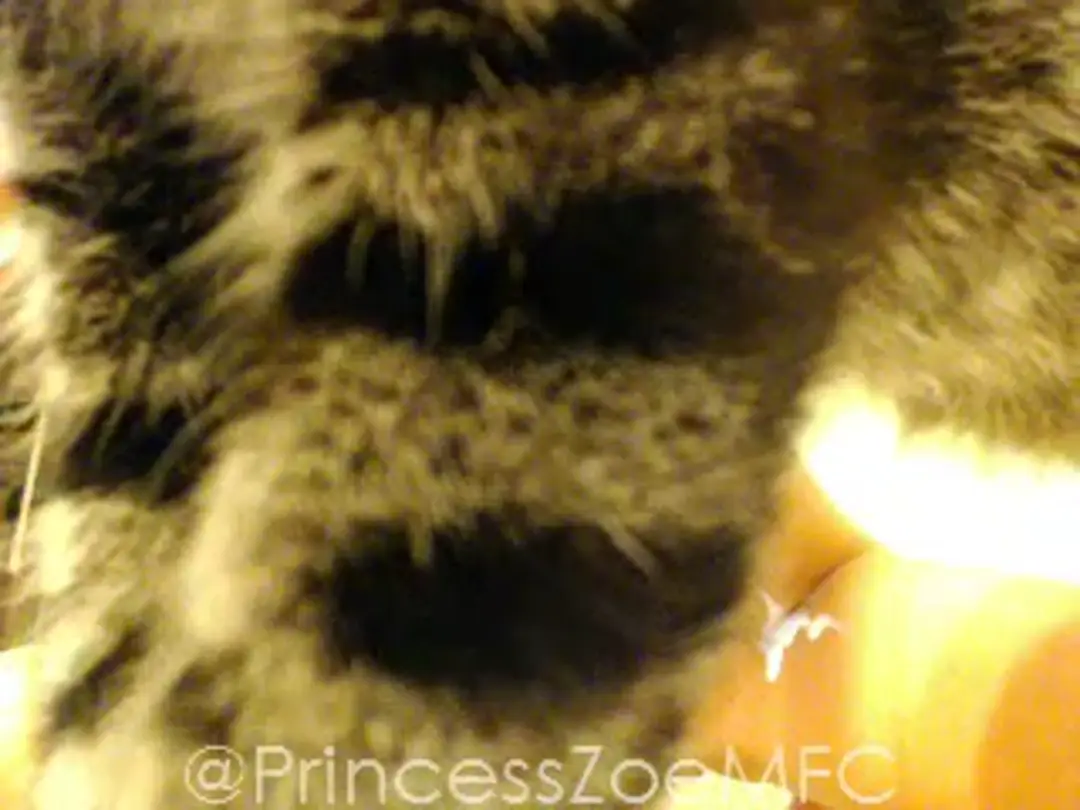 PrincessZoe show preview