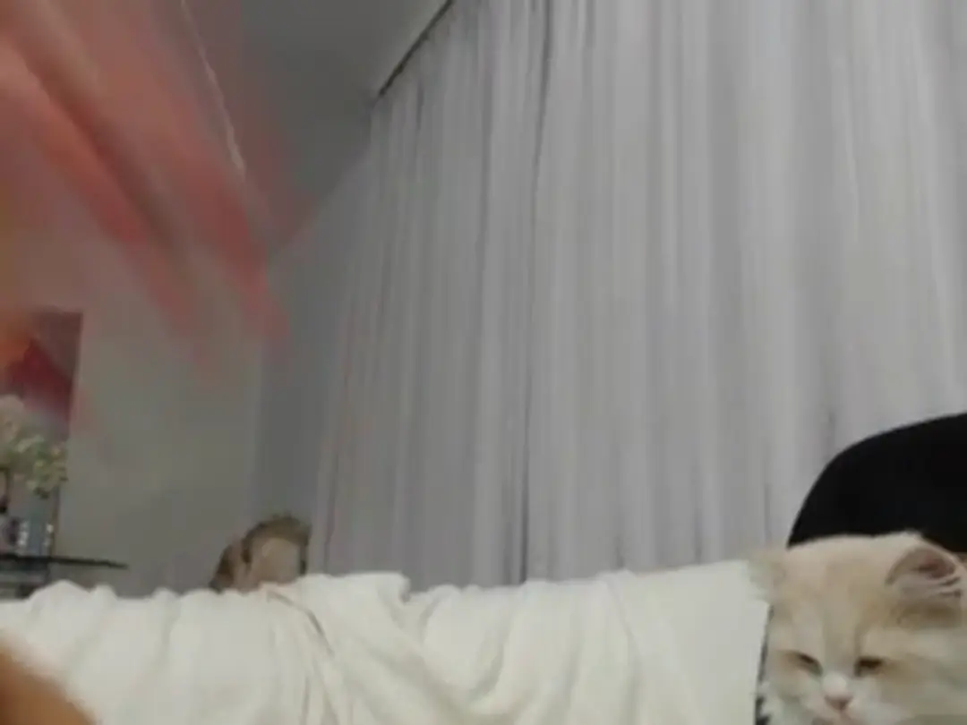 StellarBiBi show preview