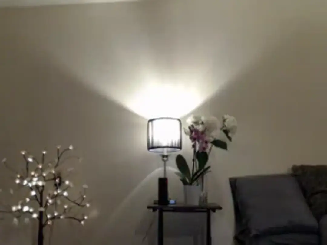 kitten___ show preview