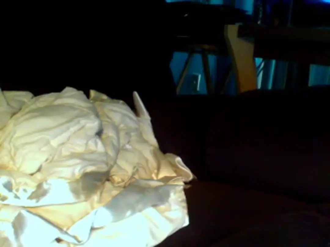 iwantbellanow show preview