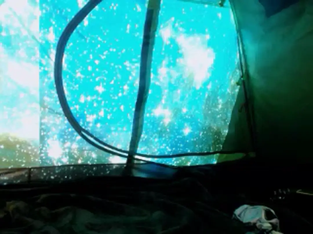 DaxAnais video #58023