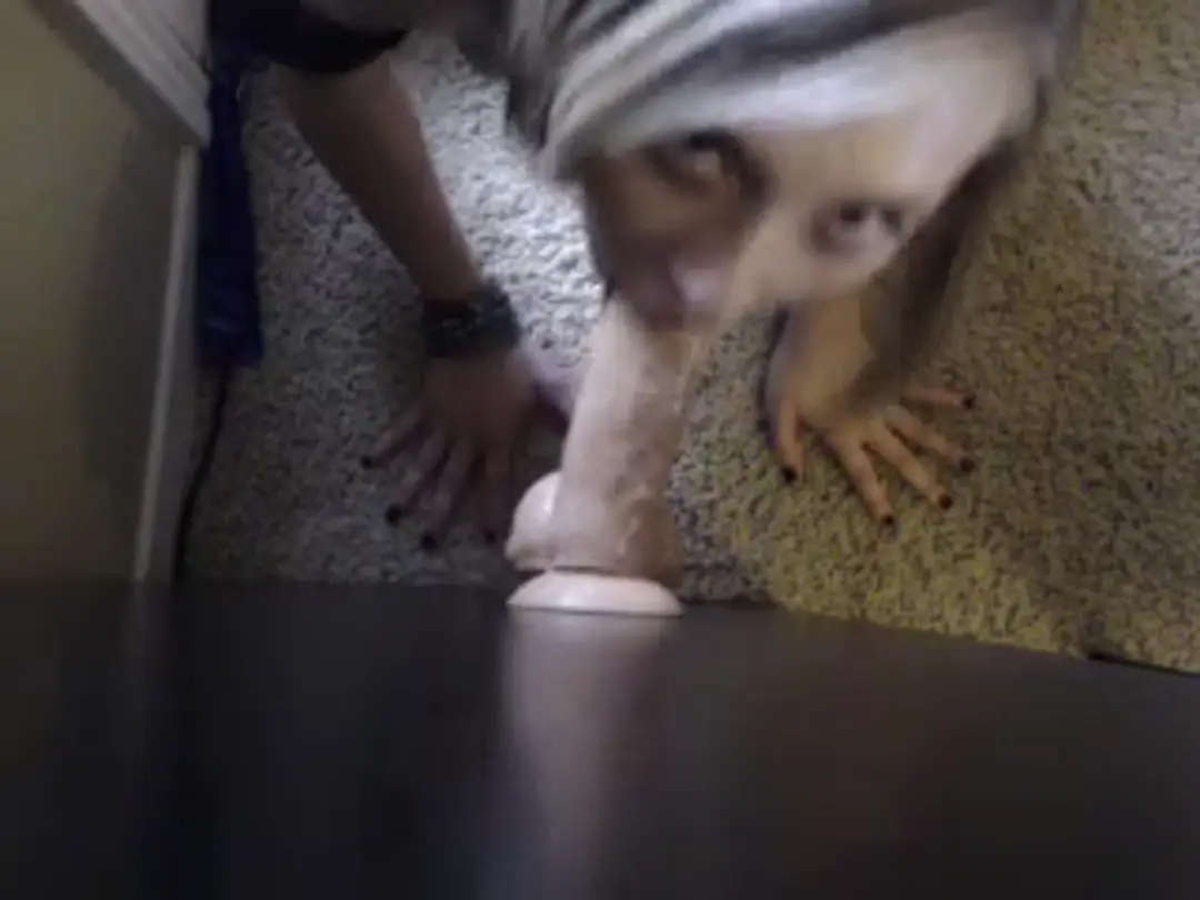 MkBleezy video #92167