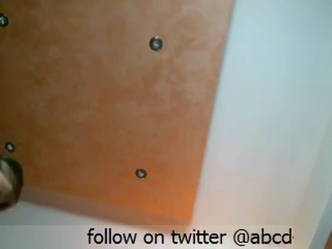 barbaralee video #44798