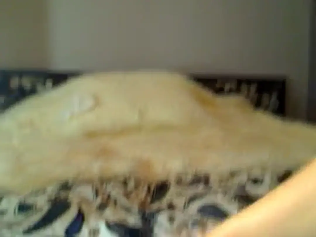 LenaRae show preview