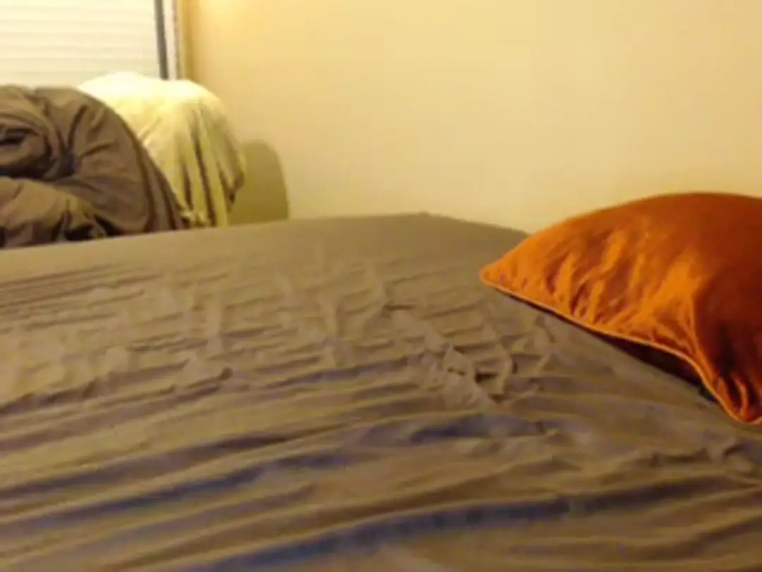 BunnyBounce show preview