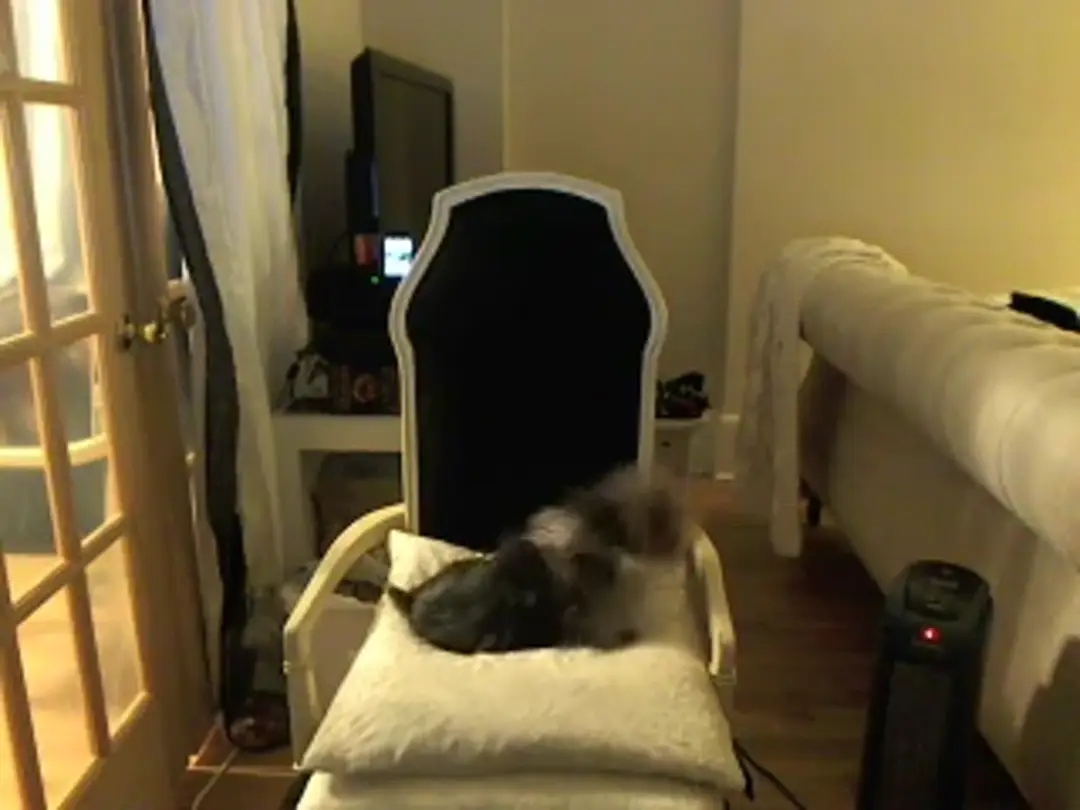 Video #74316 by ScarletRyan