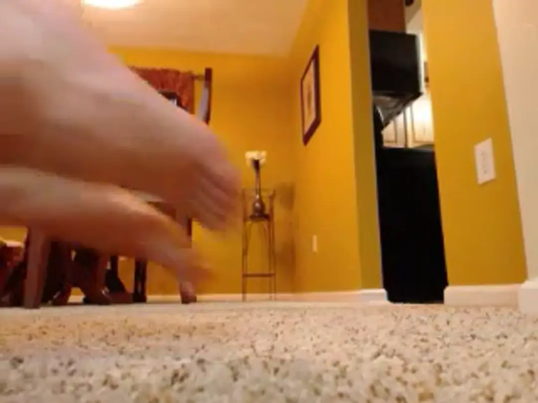 RenyXXtasy show preview