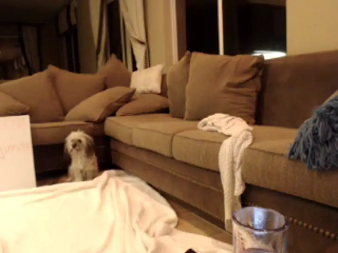 AriaNina video #40755