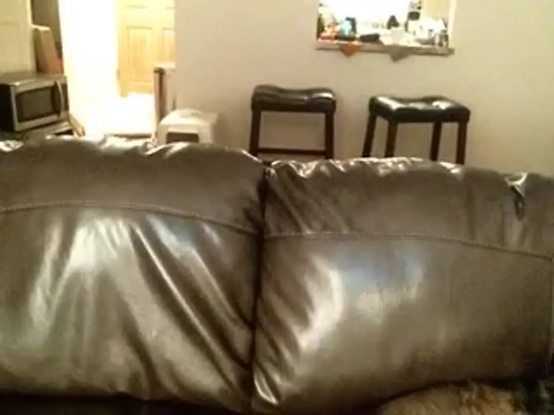 XavierA video #92536