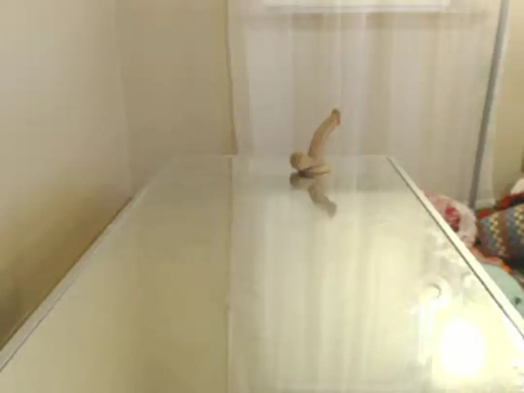 StacySweet show preview