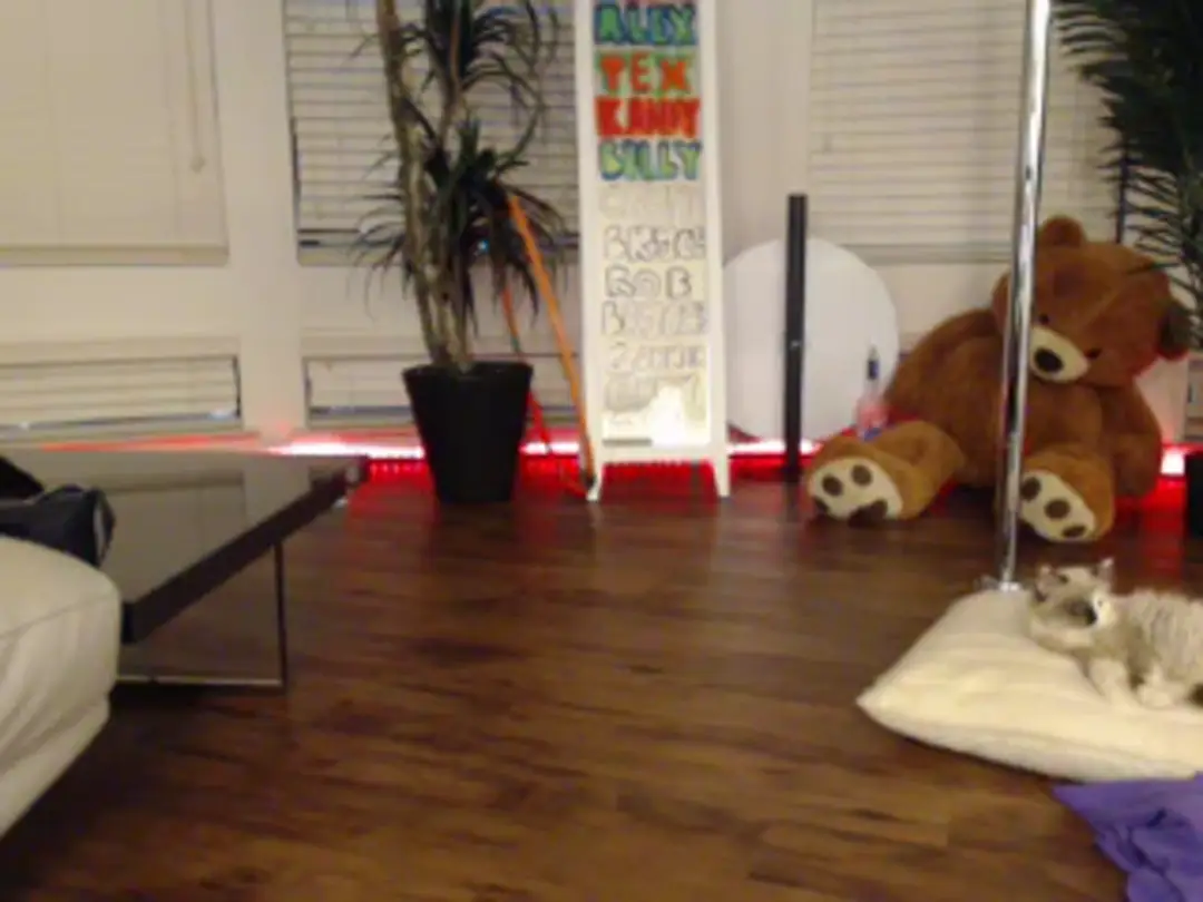 openandshut video #37948