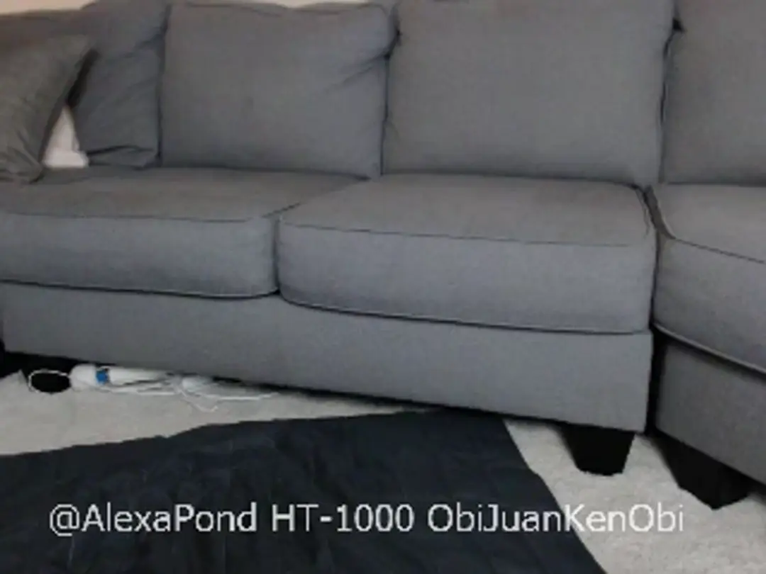 AlexaPond video #36870