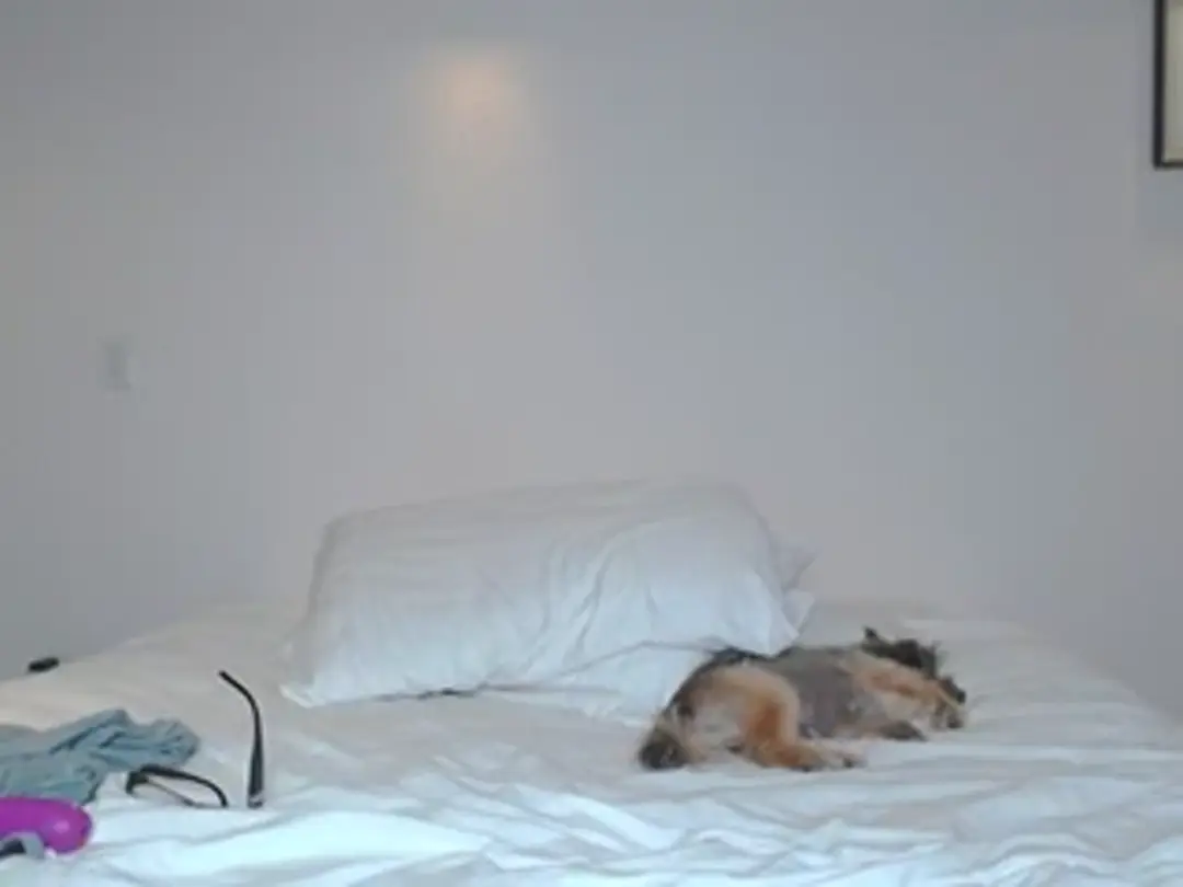 StackedNSlim video #86318