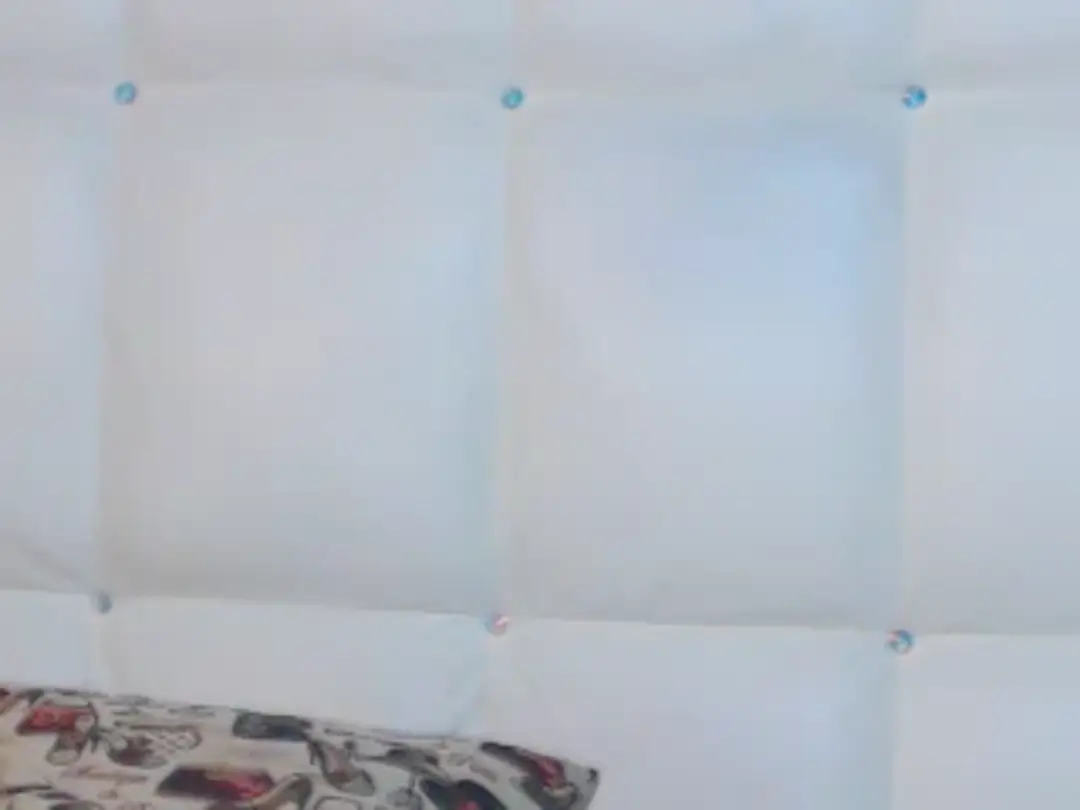 Video #40391 by Annia