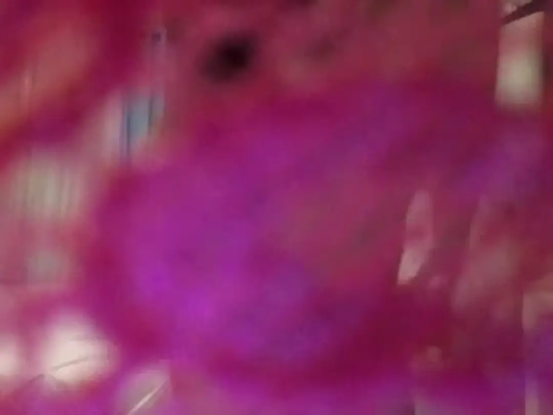 LexiVixi video #66409