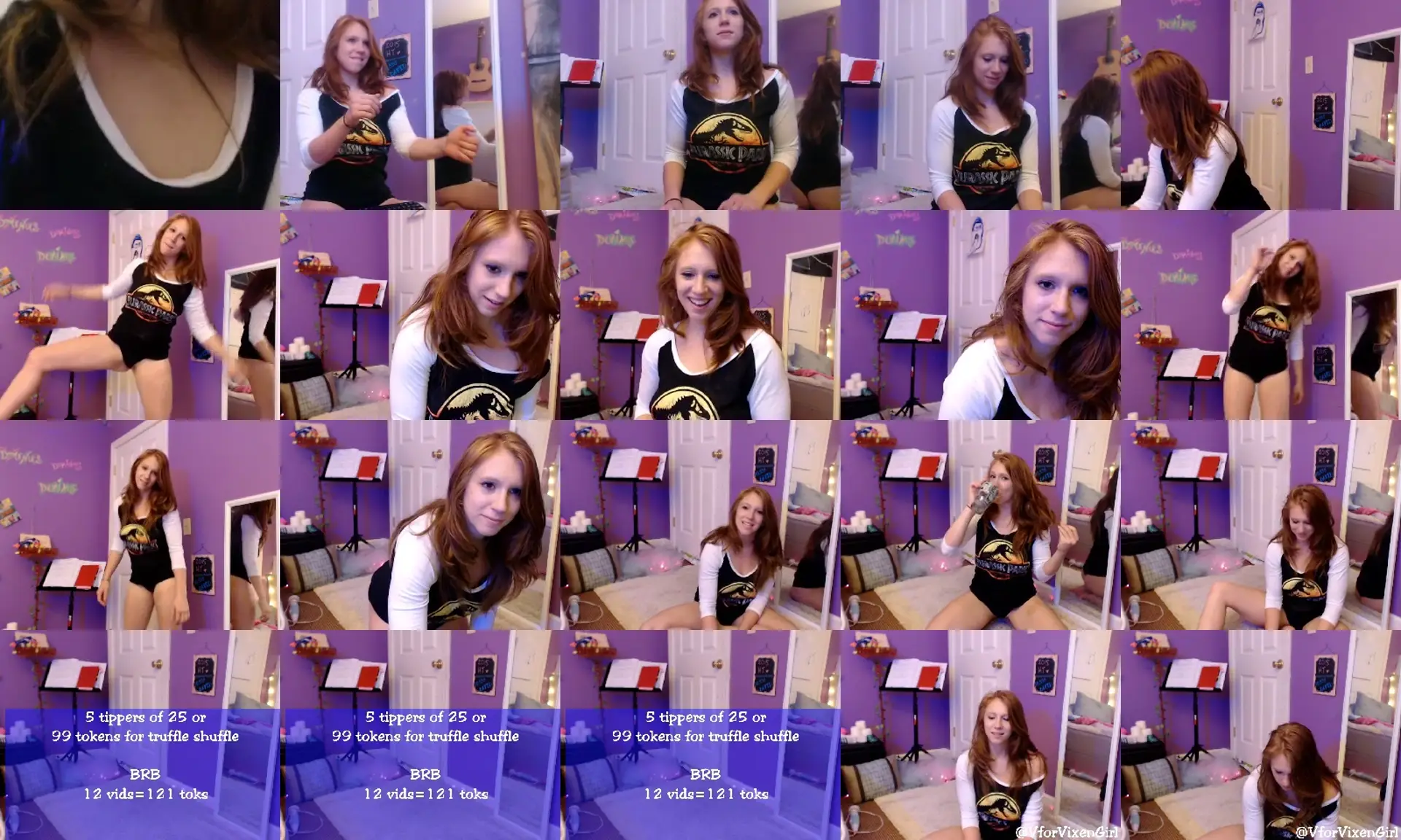 VforVixen photo contact sheet
