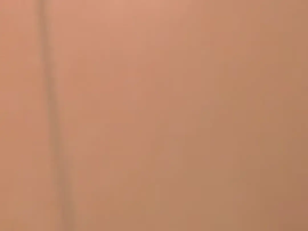 CoconutGinger show preview