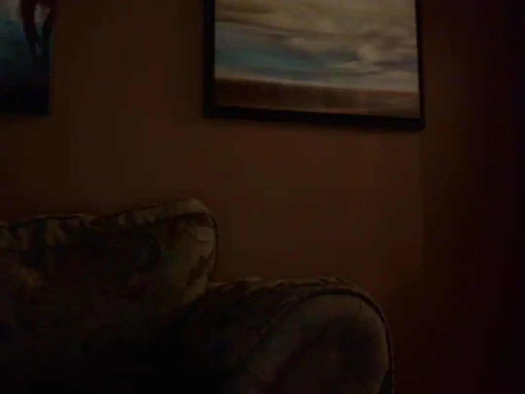 FourEyesx show preview