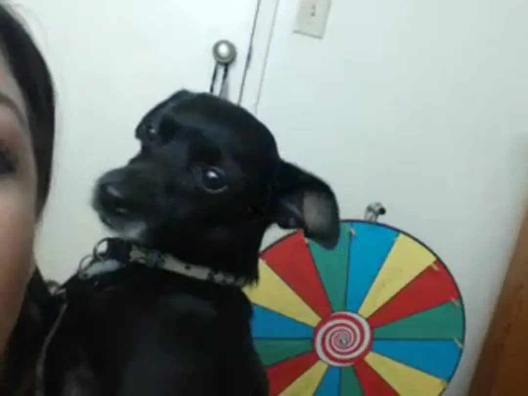 BadGirl video #44606