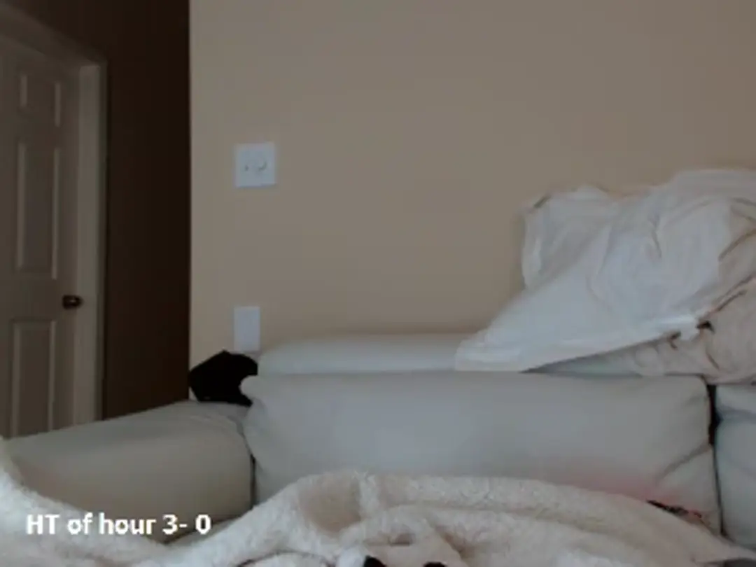 PumpkinSpice show preview