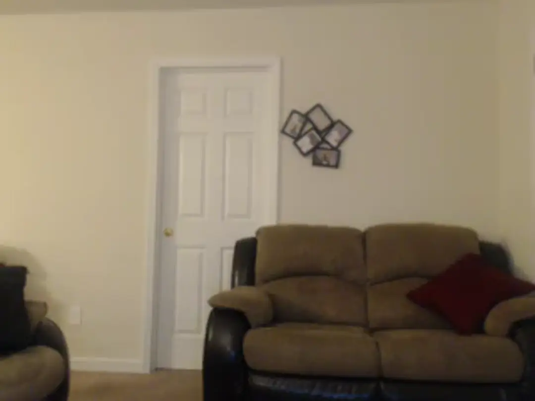 Backdimpless show preview