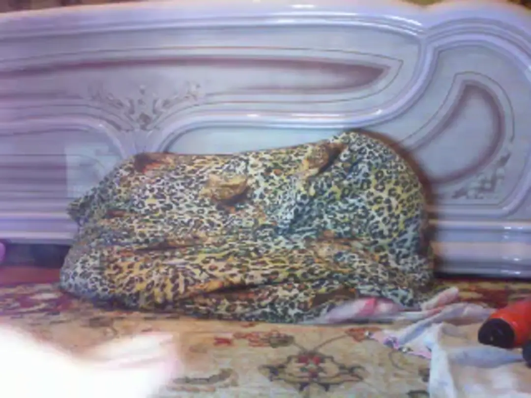 XLadySix show preview