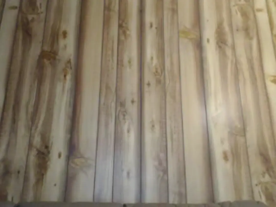 Video #64207 by Kylie