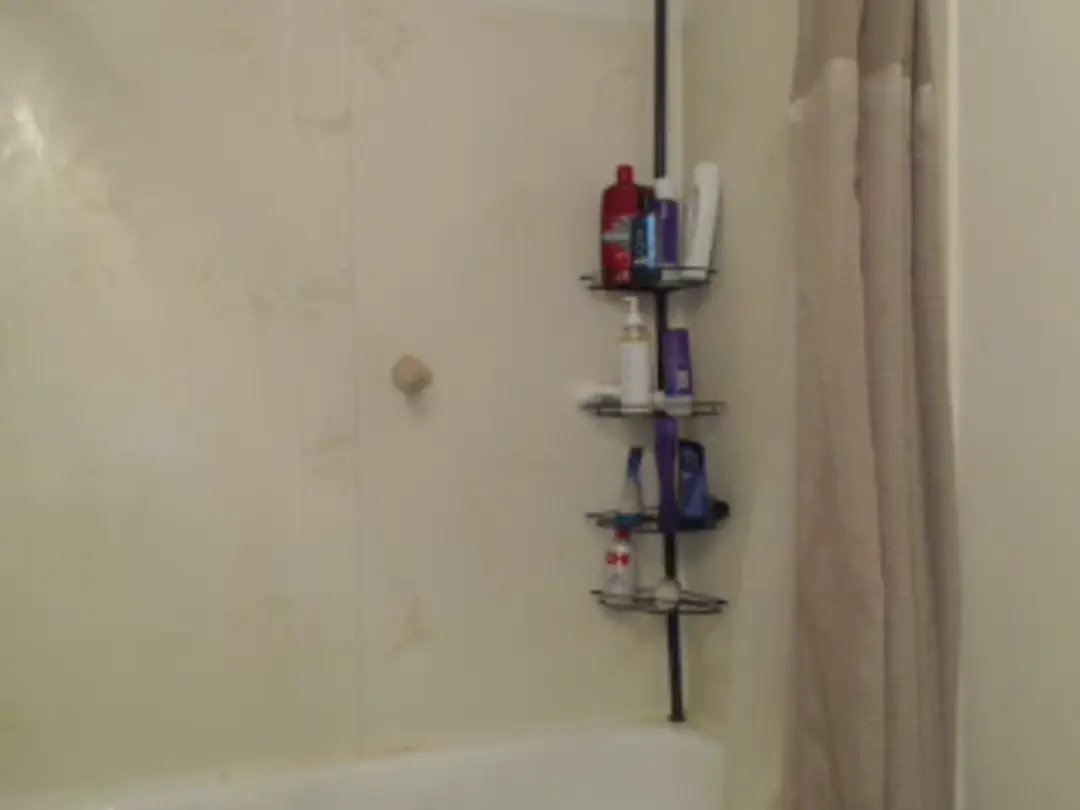 Video #41364