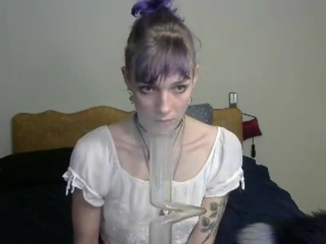 Petbrat show preview