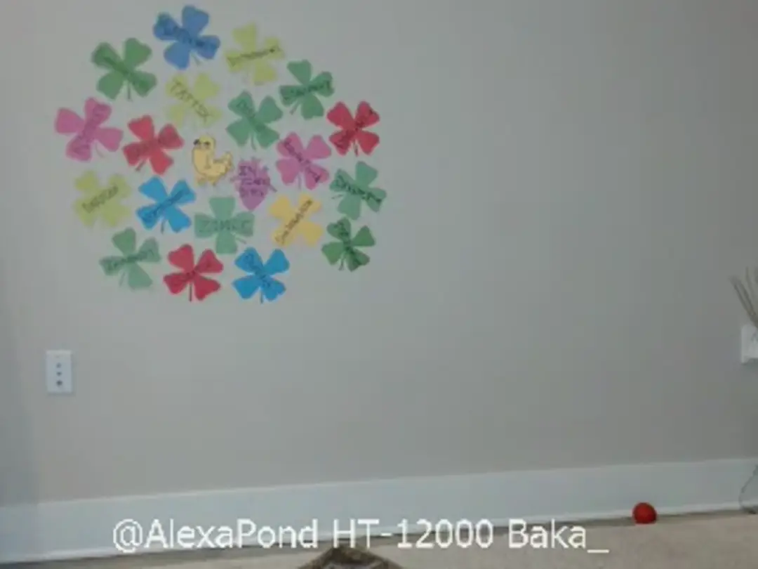 AlexaPond video #36895
