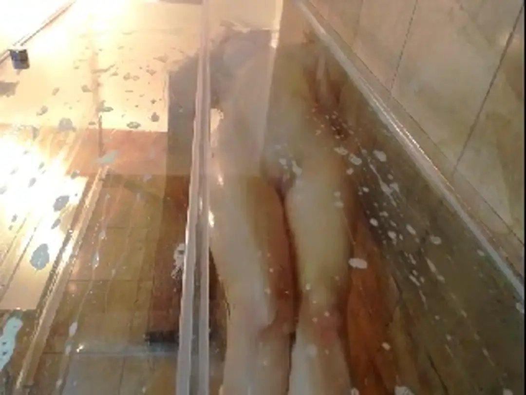 Aristocles show preview