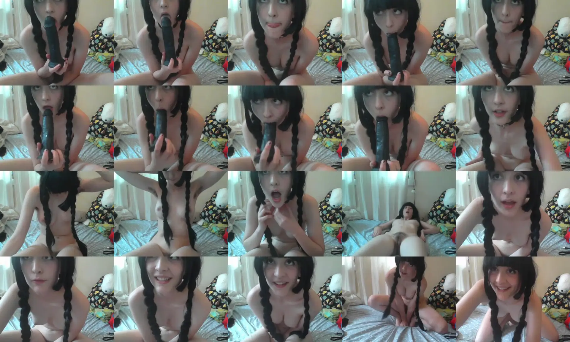 softpet photo contact sheet