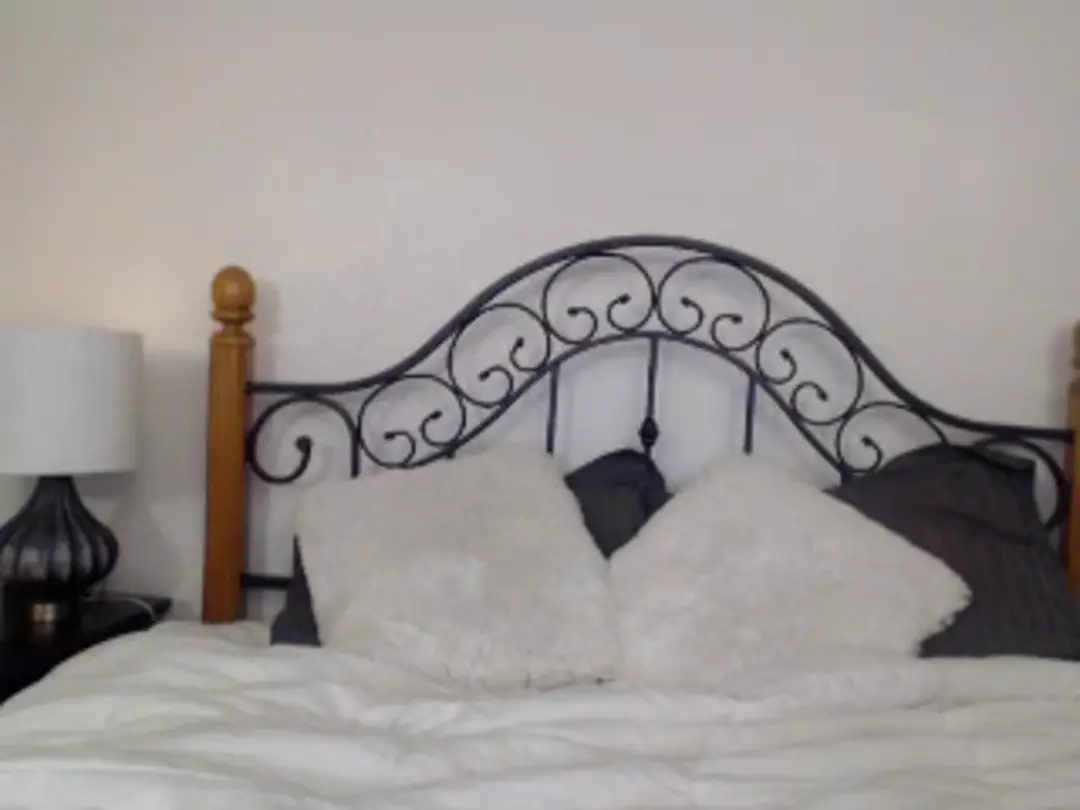 SkylerTay show preview