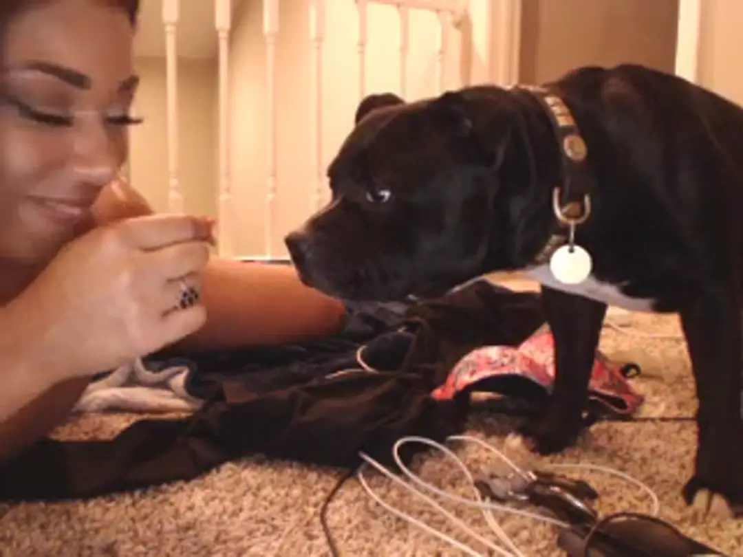 MeganTron show preview