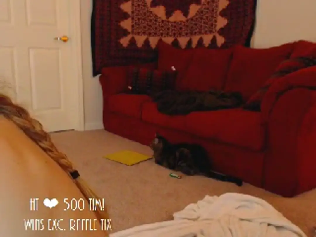 Video #73897 by monica_may