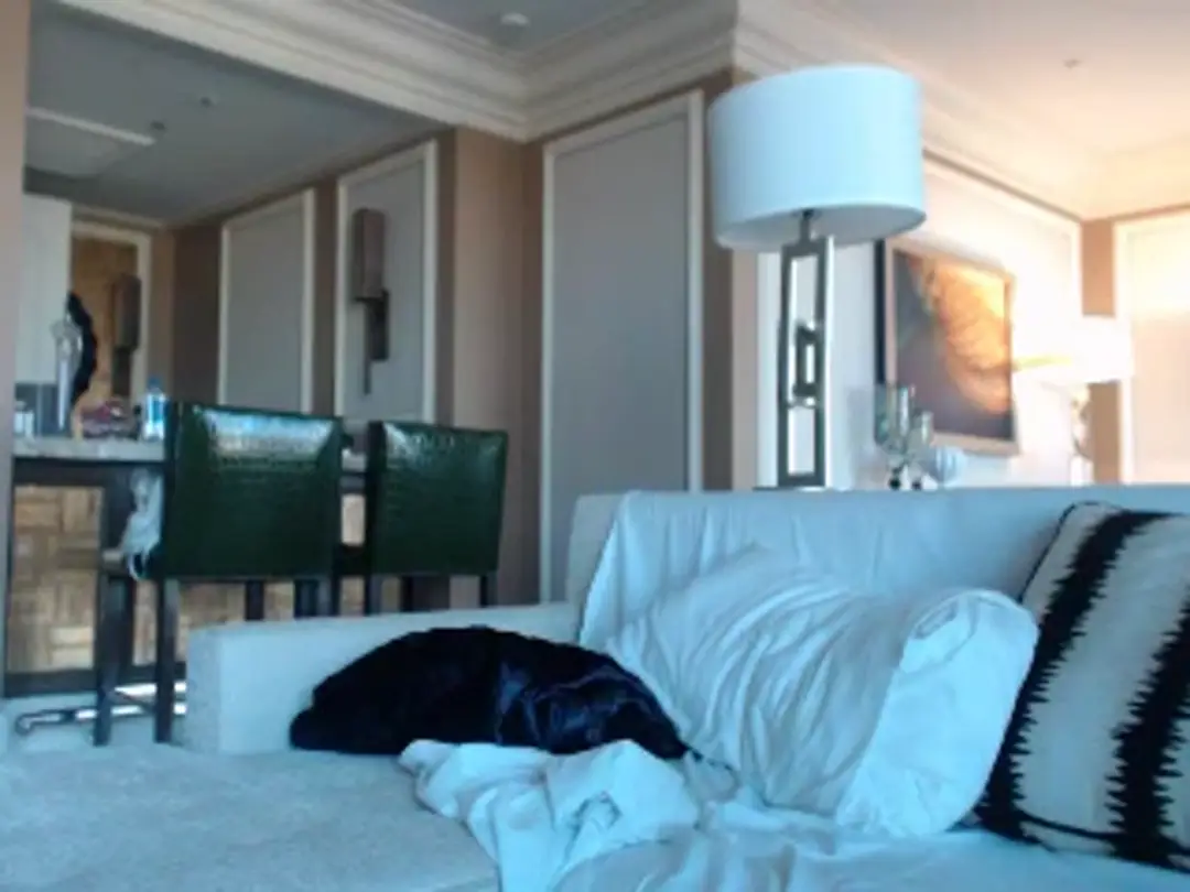 Video #45849 by BeverlyStar