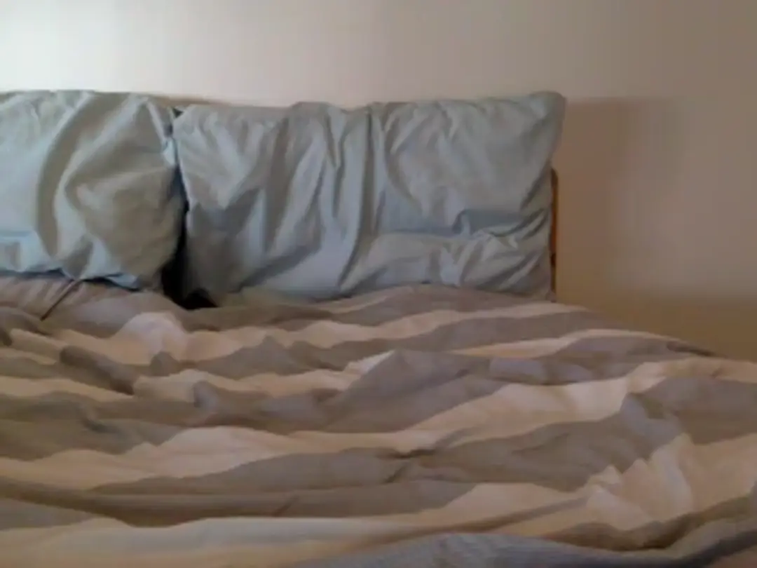 ChipmunkMFC video #49611