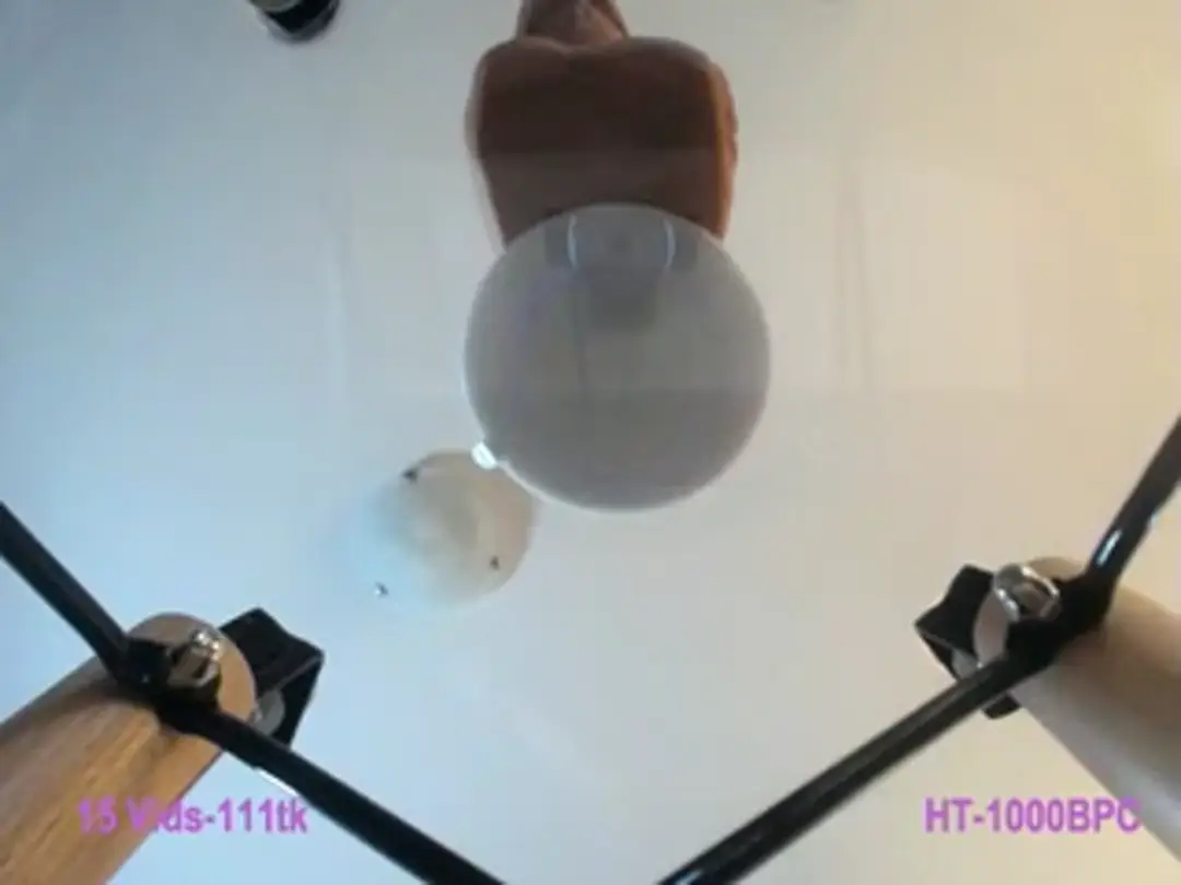 SammyWinters video #82350