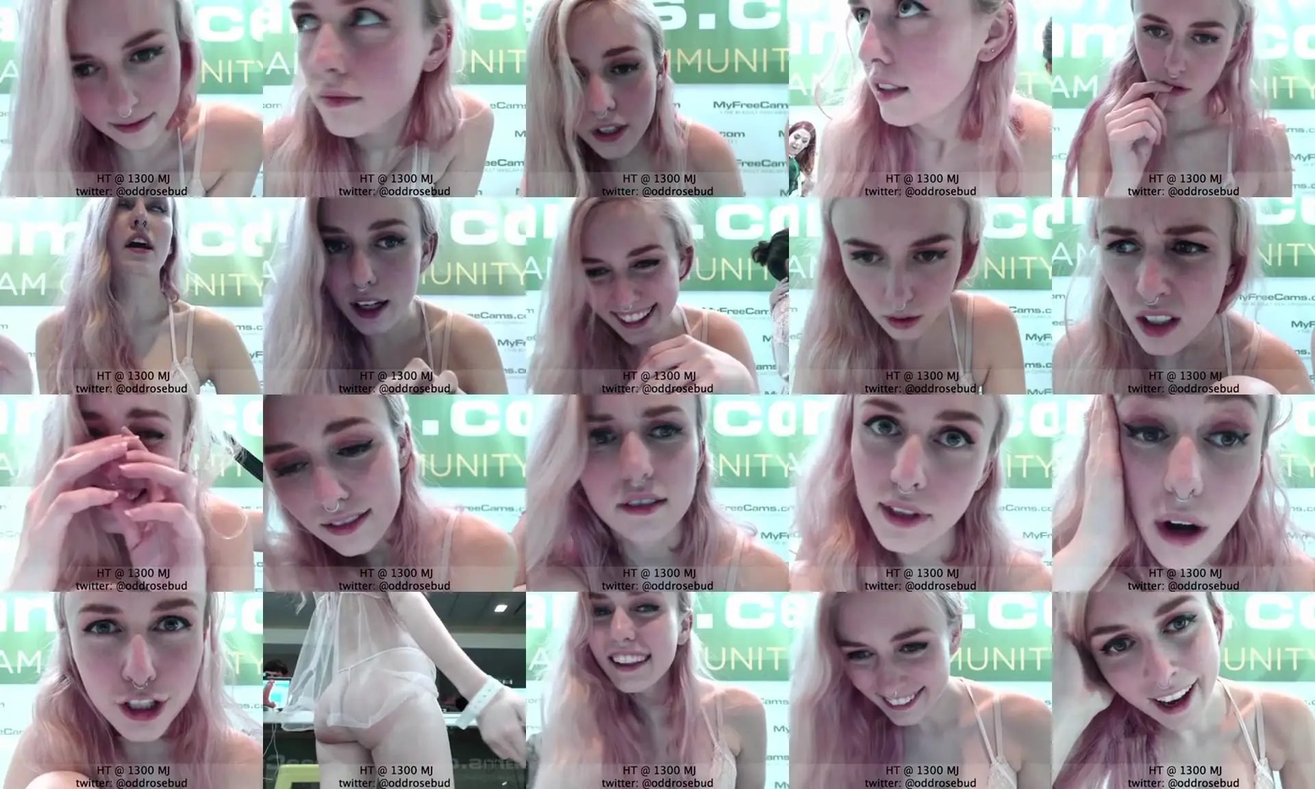 Darabon photo contact sheet