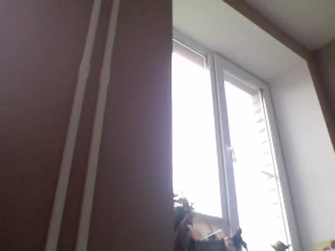 EgoisticKitty show preview