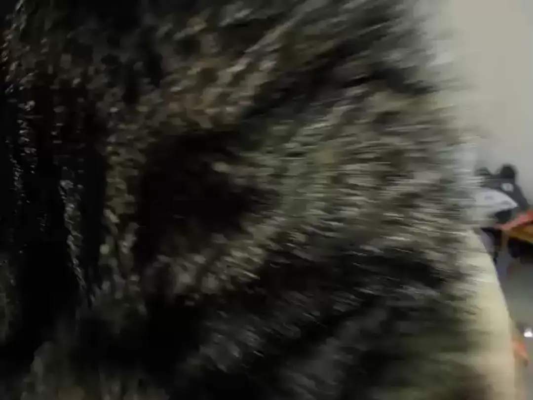 Video #73871 by Monica