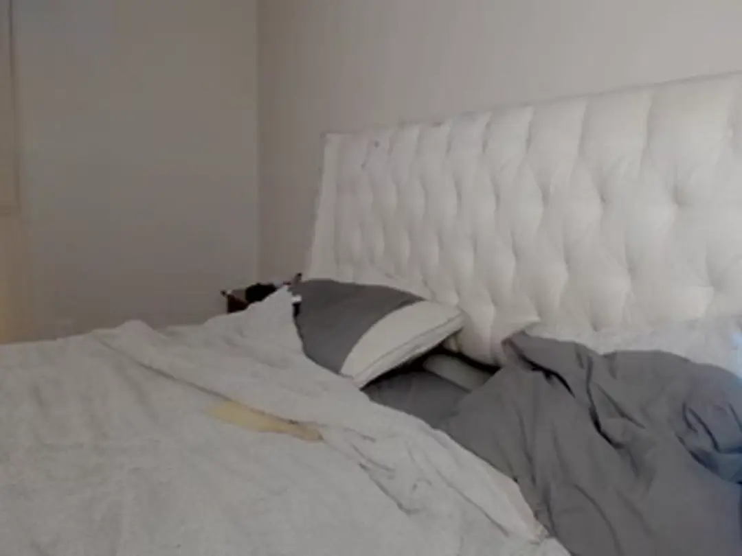 isabelle show preview