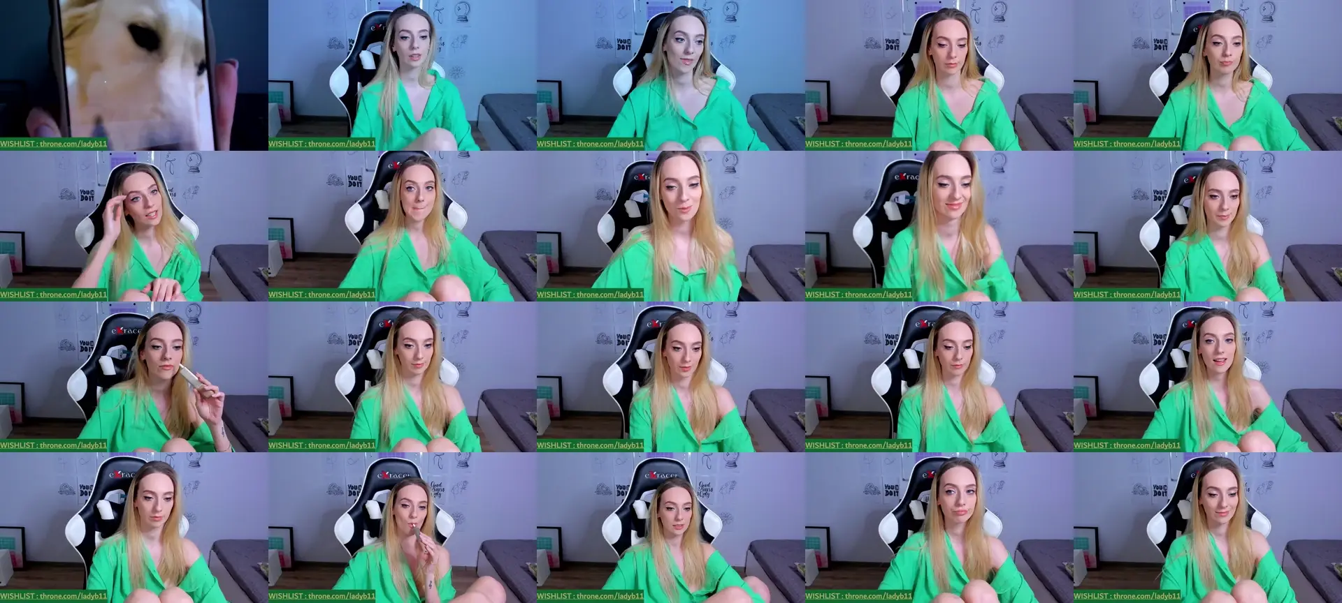 Ladybug___ photo contact sheet