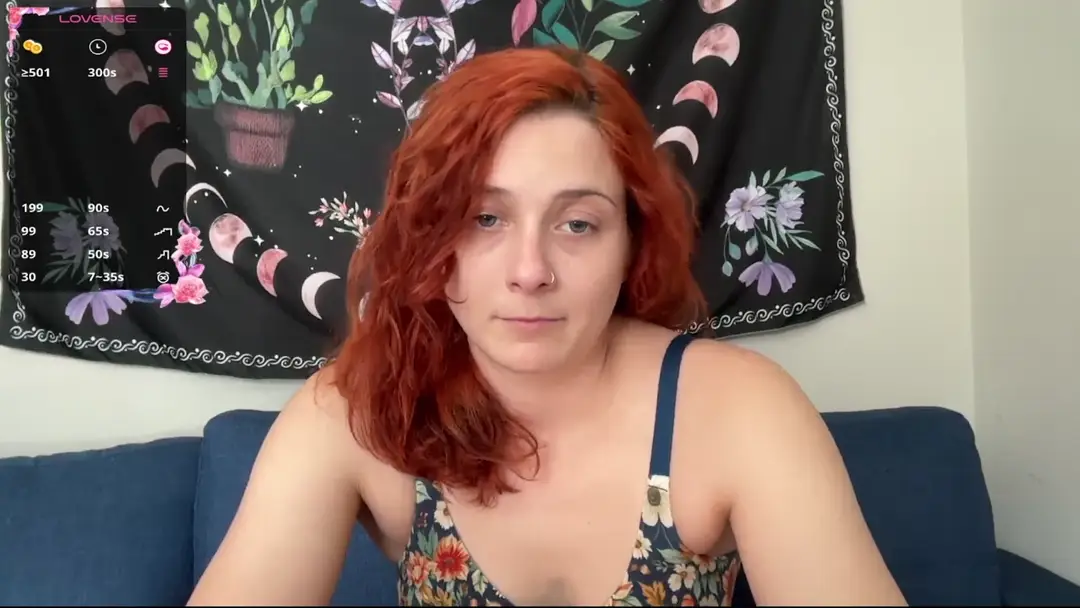 AriaFields show preview