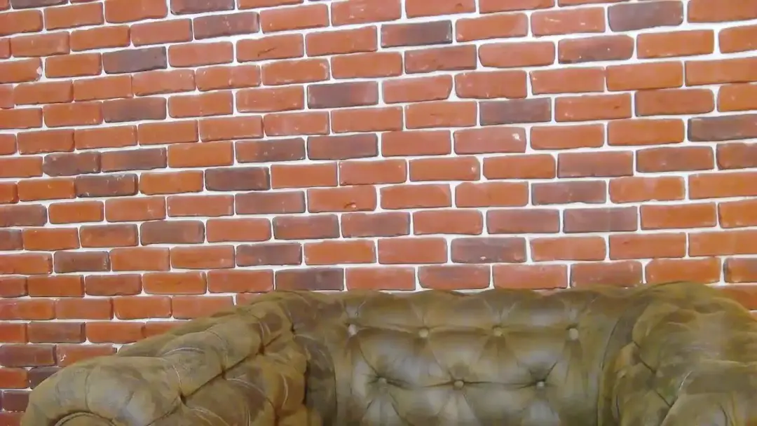 PoxyVibe show preview