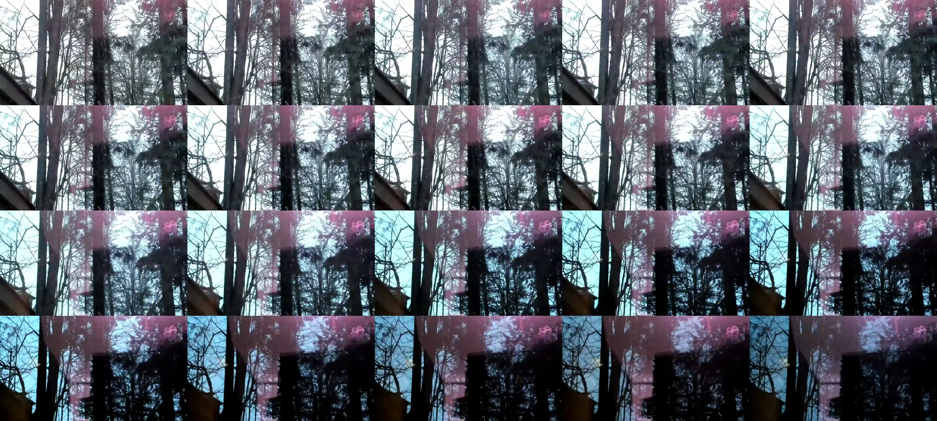 TestCam97 photo contact sheet