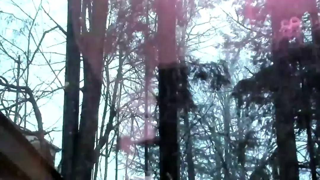 TestCam97 video #2743